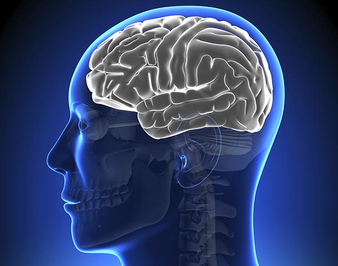 neurology-brain-disorders/
